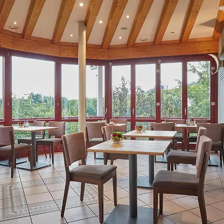 Rebstock Kappelwindeck 3*