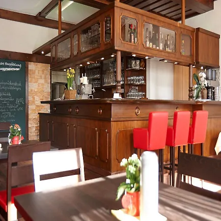 Rebstock Kappelwindeck